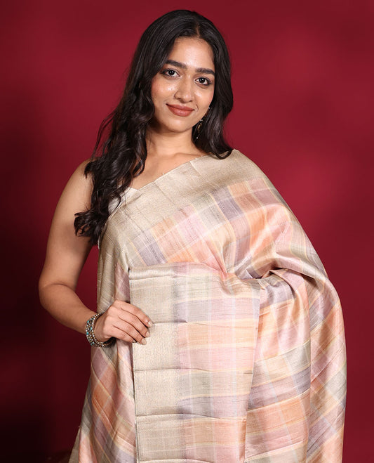 Multi-Color Fancy Tussar Saree, Sparsely Sparkled with Checked Designs Printed on Its Body, Complemented by Contrast Textured Border, Patola Printed Pallu, and Paired with a Matching Printed Blouse