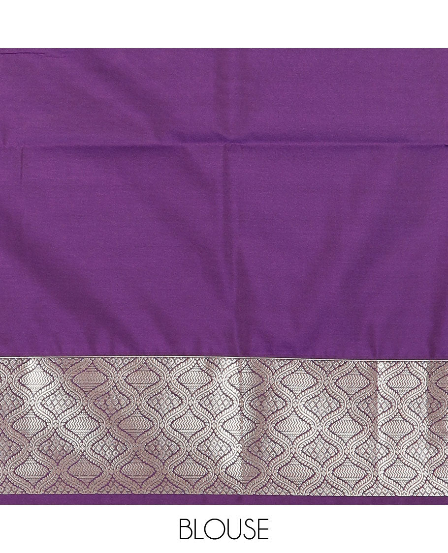 Green zari designs soft silk saree, contrast jaal zari border, and pallu of traditional zari designs