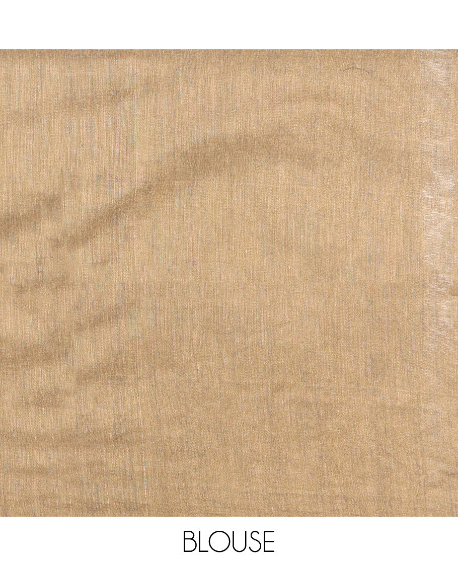 Borderless Brown-Chikku Khadi Cotton Saree