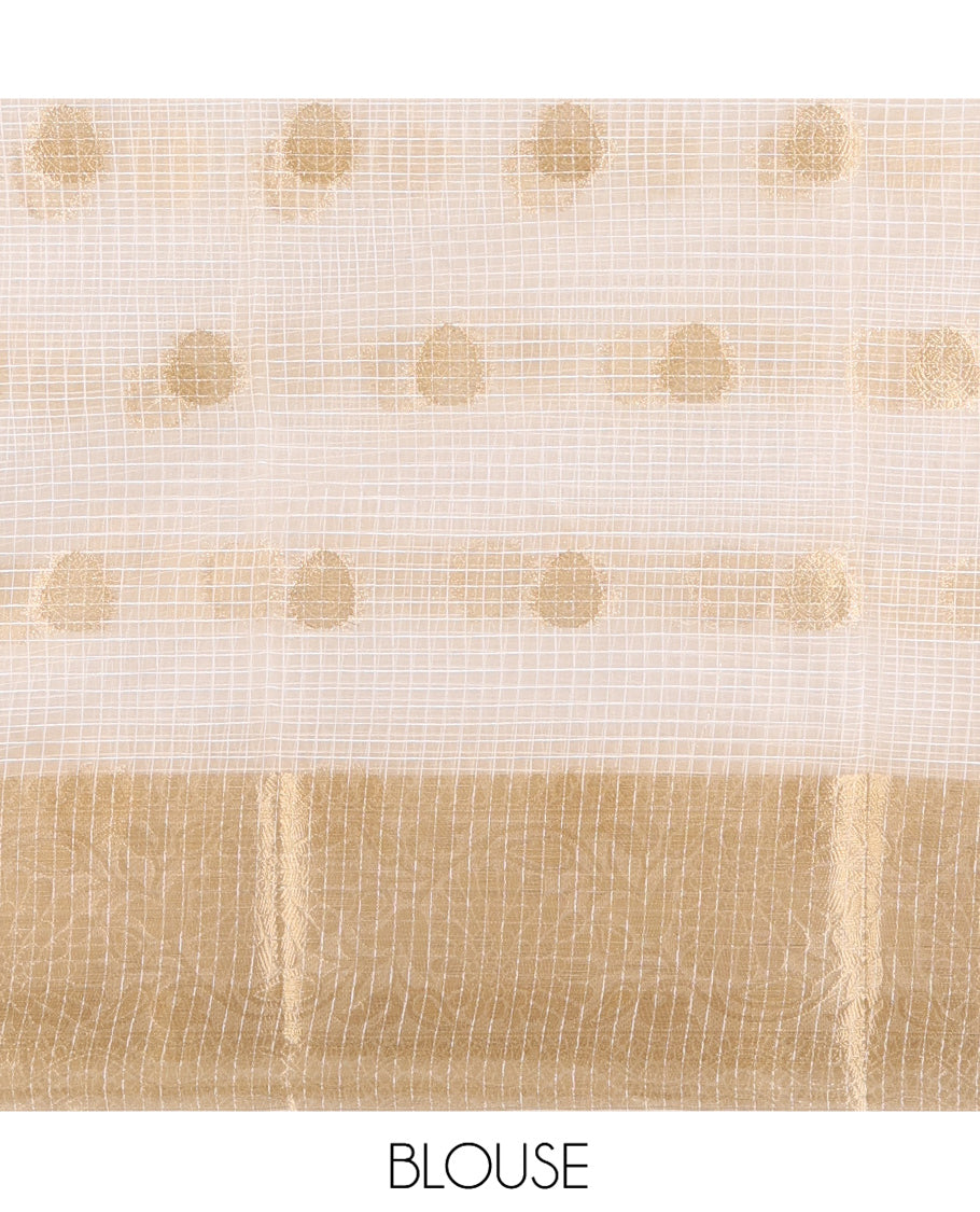 Off-White Semi-Organza Saree