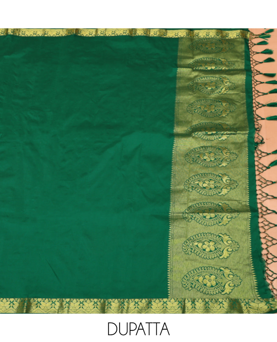 Orange Art Silk Material Half Saree Set, Bedecked with Jacquard Skirt, a Contrast Traditional Zari Border, Contrast Blouse, and an Intricate Dhavani