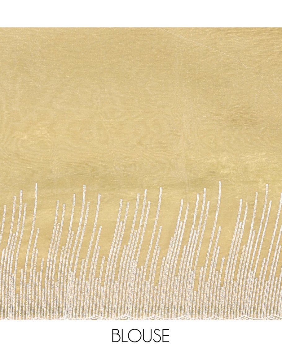 Pale Green Organza Saree, Artfully Detailed with Vine-Thread Embroidery, Scallop-Border, and a Matching Blouse