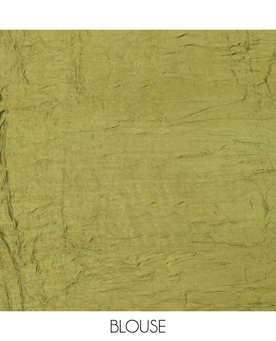 Borderless Green Bandhani Dola Silk Saree