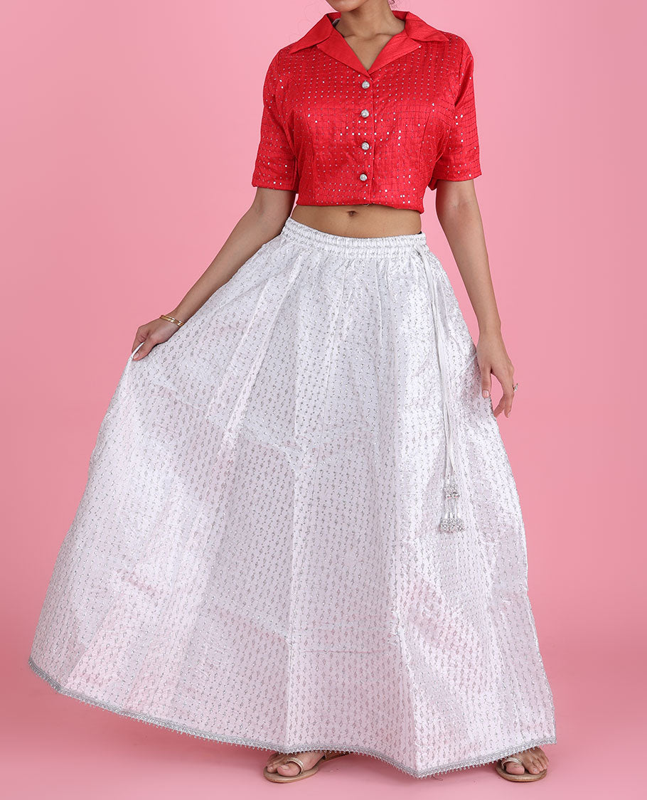 Pearl white intricate chamki embroidered silk cotton skirt with tassels 