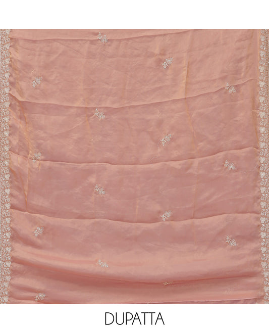 Peach Fendy Organza Material Chudidar Set, Adorned with Neck Embroidered Top, a Santoon Bottom, and a Embroidered Dupatta