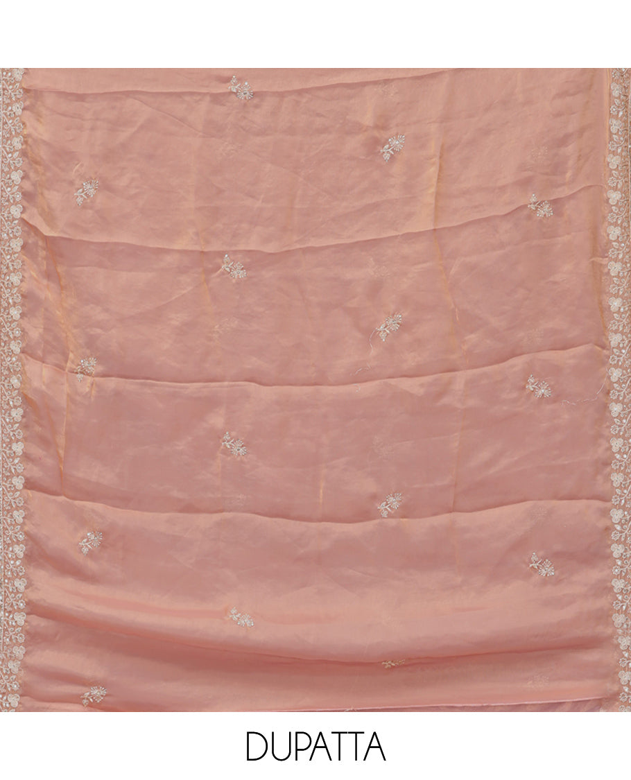 Peach Fendy Organza Material Chudidar Set, Adorned with Neck Embroidered Top, a Santoon Bottom, and a Embroidered Dupatta