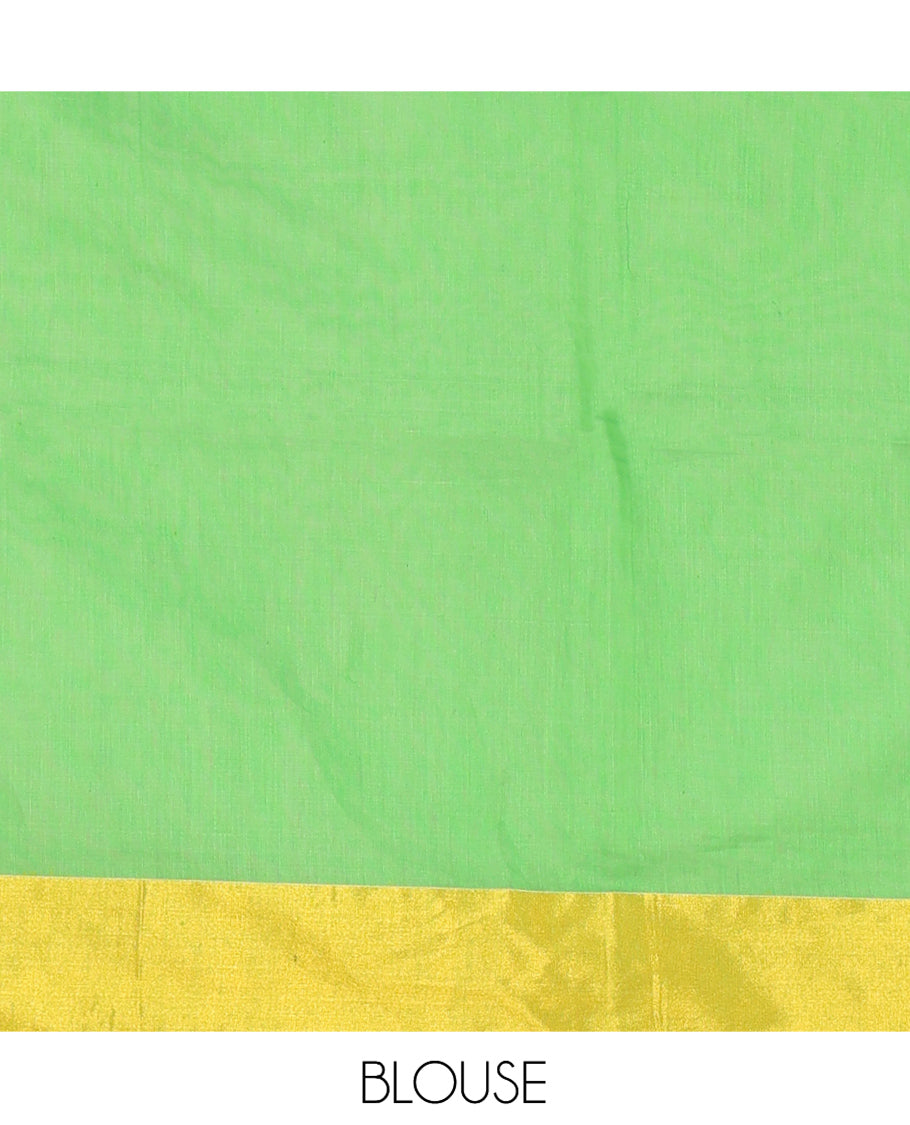 White-Green Khadi Linen Saree, Adorned with Ikkat Weave, a Contrast Plain Border, Plain Pallu, and a Contrast Blouse