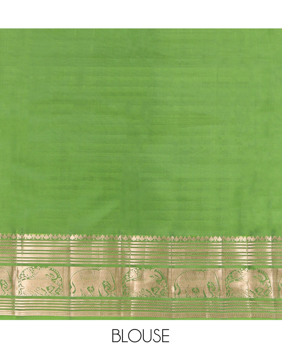 Brown Zari Buttas Vasundhara Lite Silk Mix Saree, Contrast Yaali-Yaanai Border, Jaal Pallu, Contrast Blouse