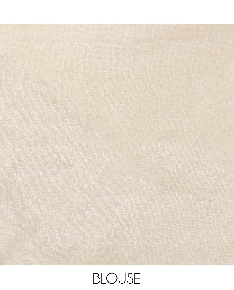 Pale Green Organza Saree, Delicately Woven with Floral Vine Embroidery, a Scallop Border, and a Matching Blouse
