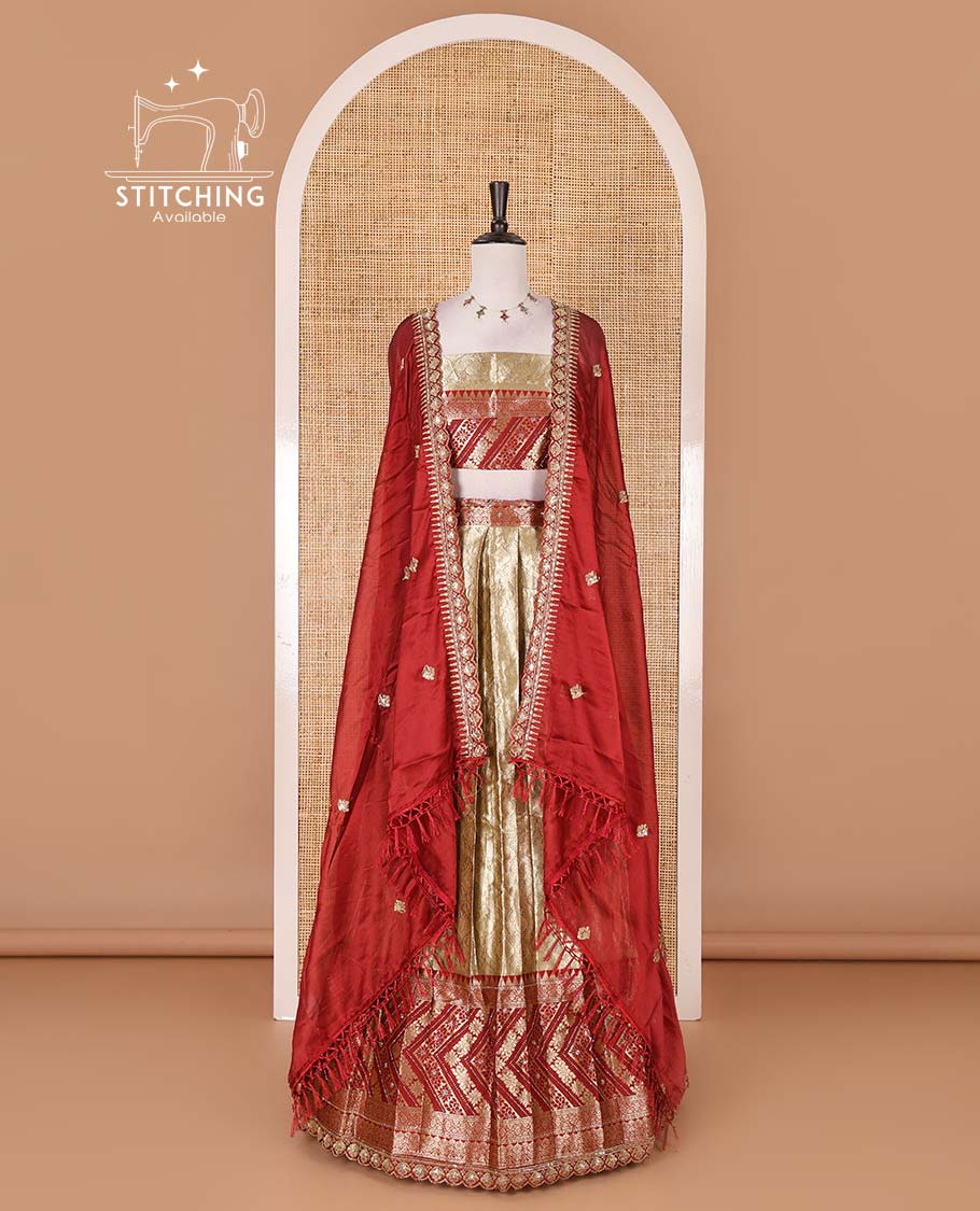 Gold banaras half saree, ogee skirt, contrast maroon traditional zari border, matching blouse, and Syska georgette embroidered dhavani