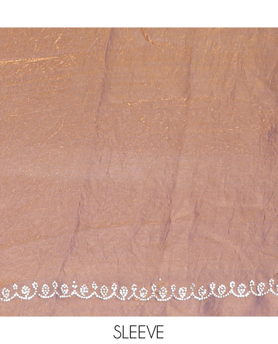 Brown Fendy Chiffon Saree, Highlighted by Swarovski Stone Work All Over the Body, Gleaming Swarovski Stone Work Border, a Self-Pallu, and Paired with a Fancy Designer Blouse