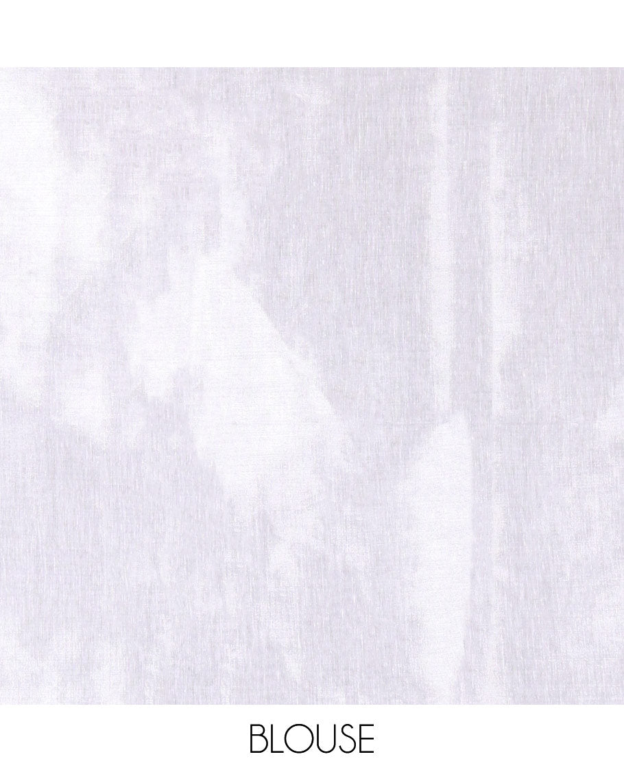 Borderless Silver Plain Khadi Tissue Saree, a Self-Pallu, and Paired with a Matching Blouse