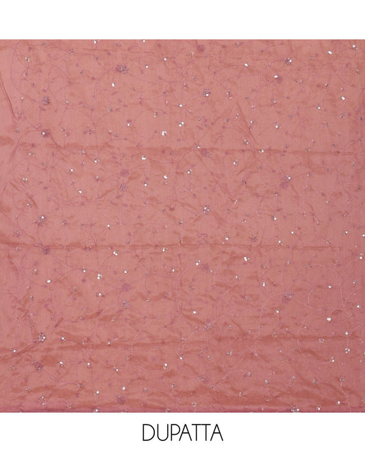 Onion pink material chudidar set,floral-geometric print & outline embroidery organza top,plain bottom & floral vine sequins embroidery dupatta