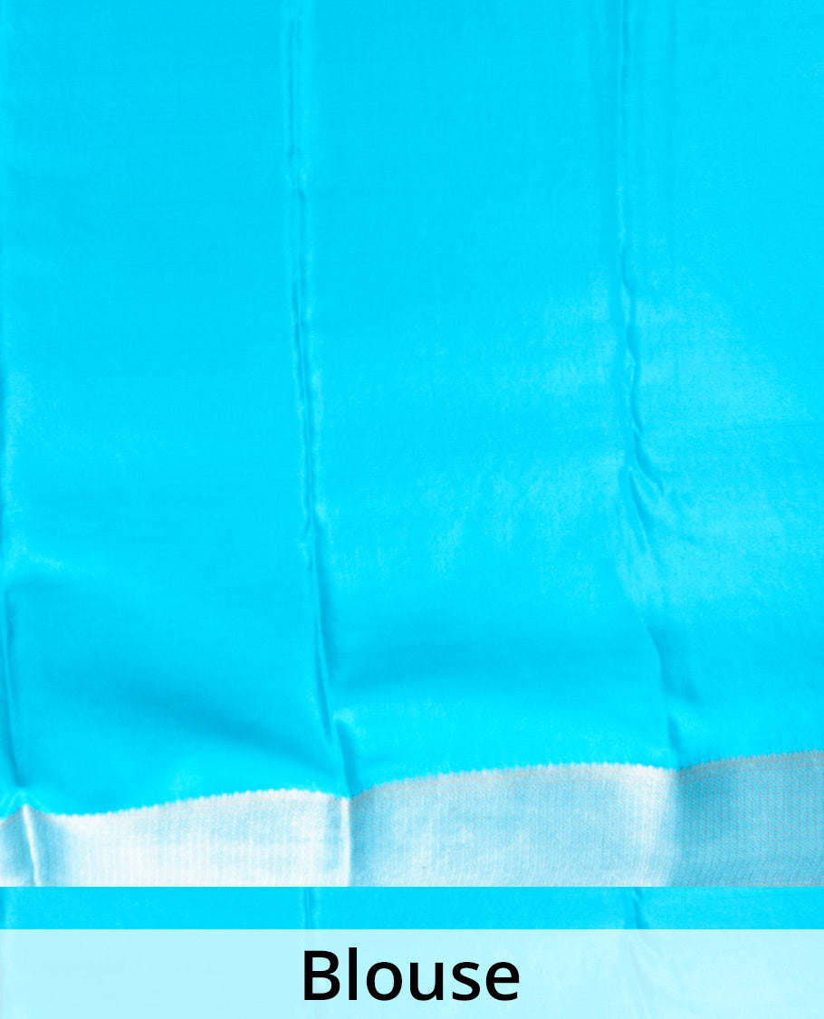 Pink jaal jacquard Mysore silk saree, contrast zari border, and pallu of chevron designs