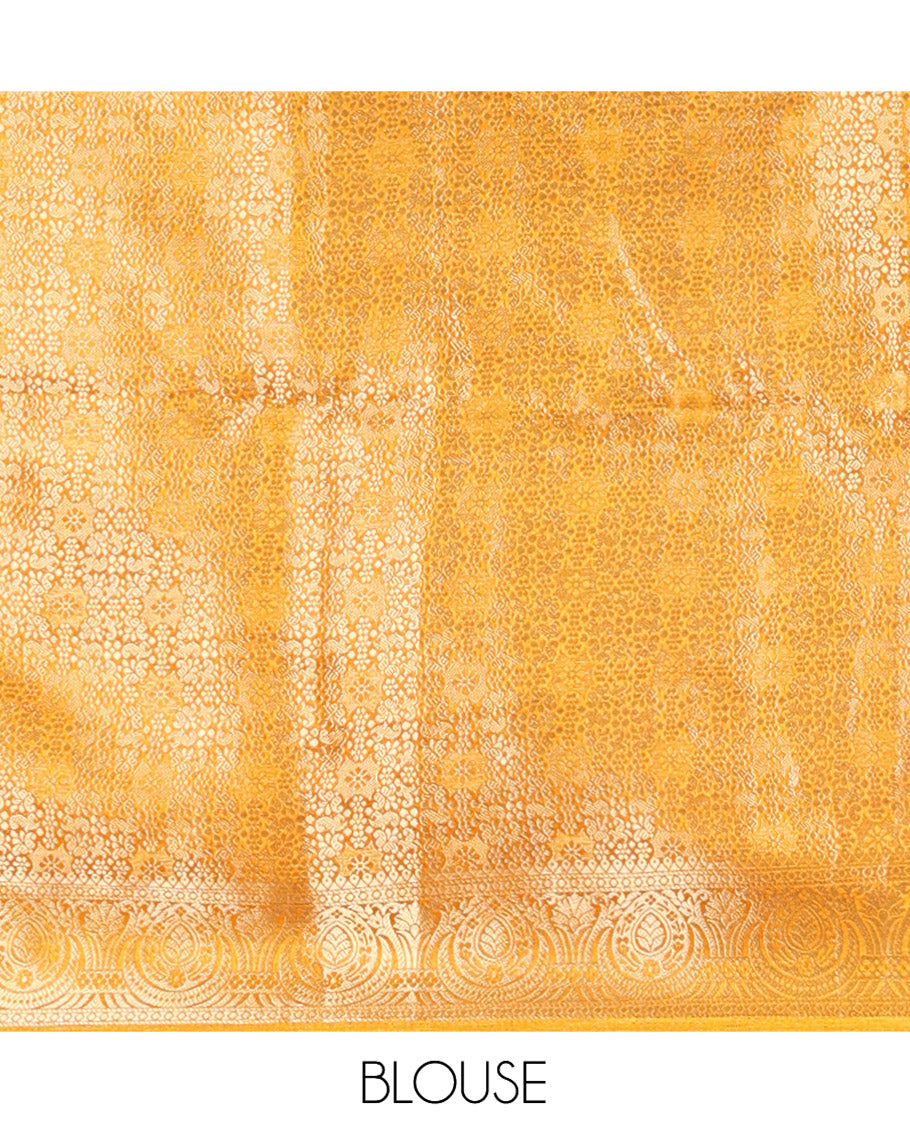 Mustard Fancy Tussar Saree, Intricate Border, Grand Pallu, a Printed Blouse, Matching Brocade Blouse