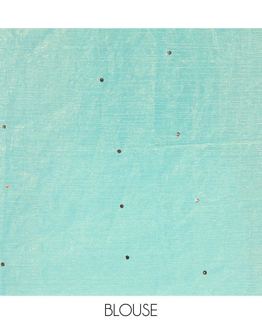 Borderless Sea Green Fendy Chiffon Saree, Gleamed Up with Sequin Work on Its Body, Highlighted by a Self-Pallu of Sequin Work, and Paired with a Matching Blouse