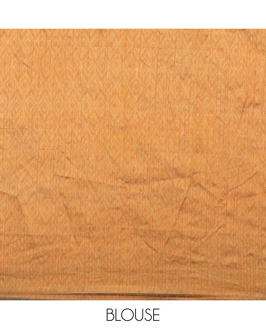 Green diagonal striped semi-banaras patola silk saree, contrast diamond and elephant motif border, and pallu of diamond design