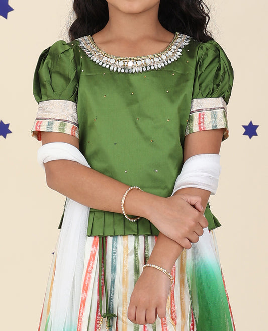 Multi-color cholly set, stripes printed & traditional border skirt,contrast embroidery puff-sleeve blouse & net dupatta