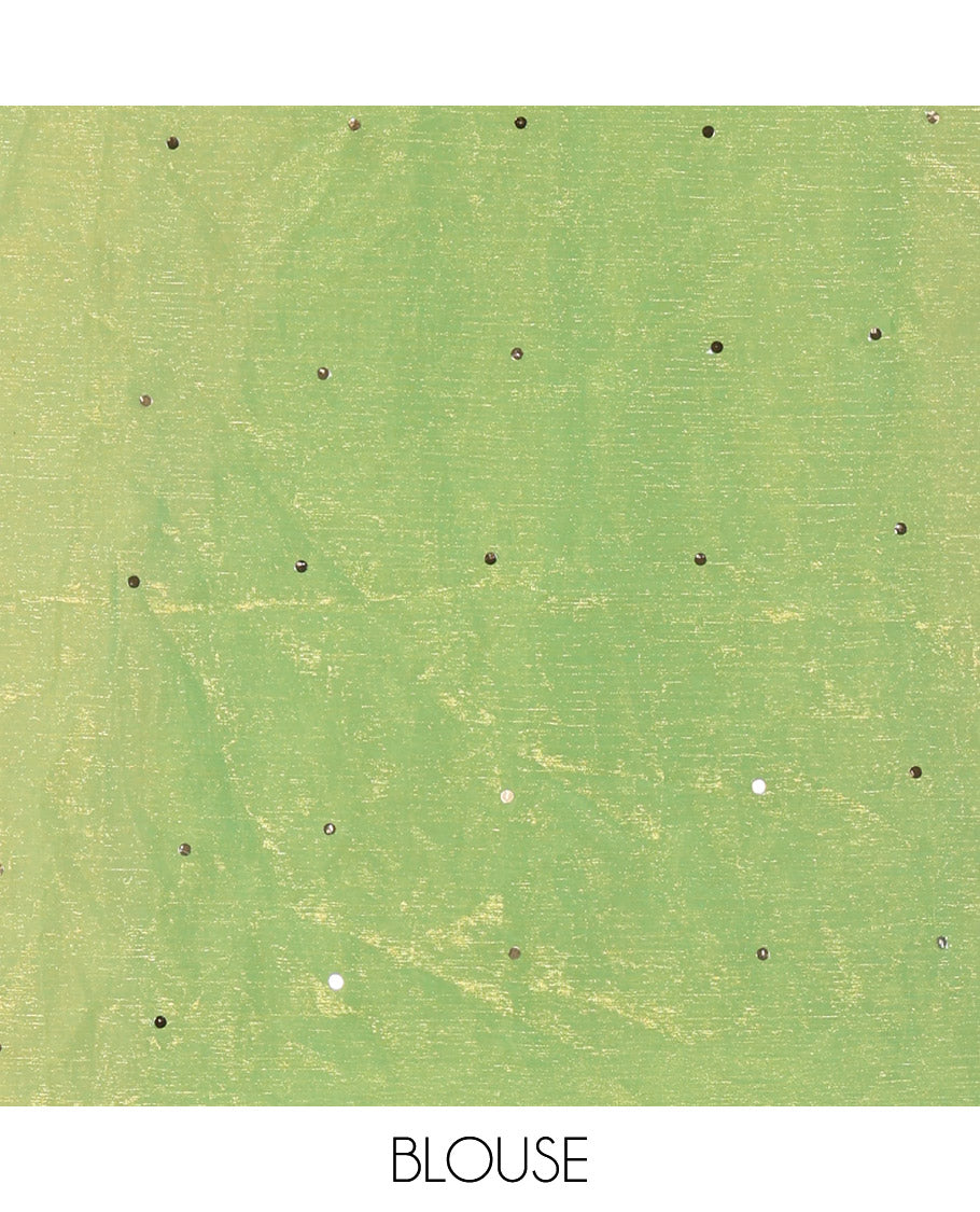 Borderless Lime Green Fendy Chiffon Saree, Gleamed Up with Sequin Work on Its Body, Highlighted by a Self-Pallu of Sequin Work, and Paired with a Matching Blouse