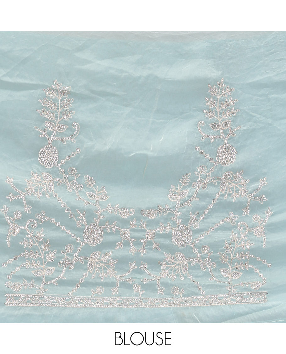 Pale Blue Designer Saree, Sparsely Detailed with Floral Vine Stone Embroidery, a Stone Embroidered Border, and a Matching Blouse