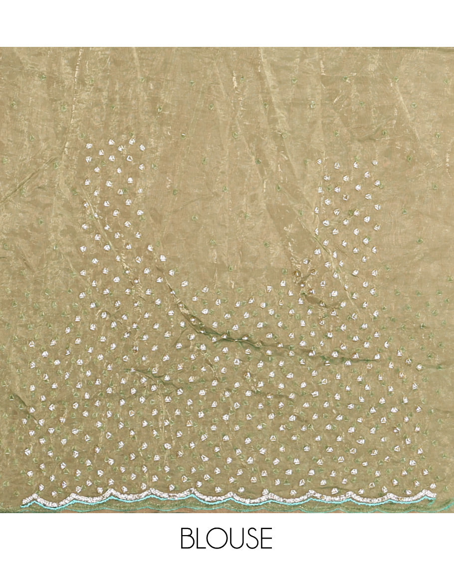 Leaf Green Organza Glass Tissue Designer Saree With Stonework, a Scallop Border, and a Matching Blouse