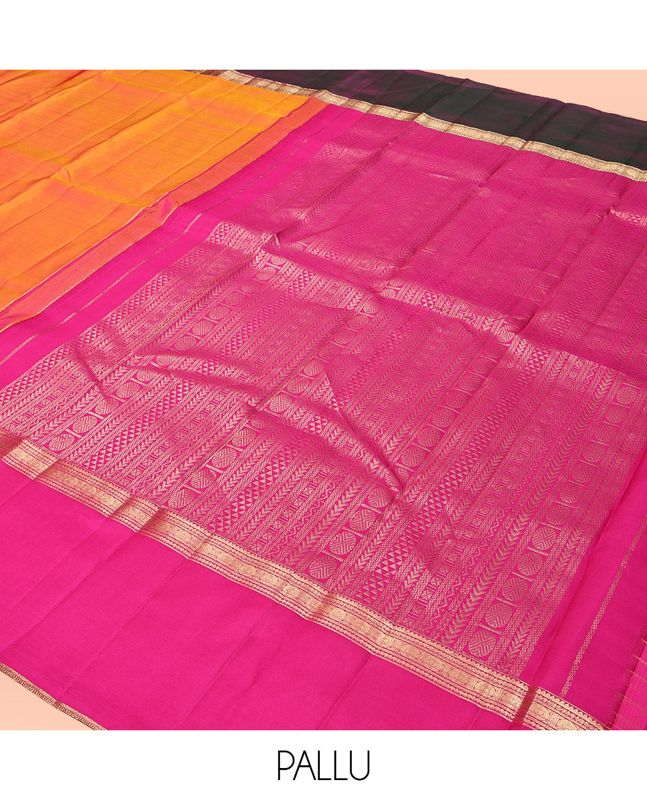 Orange Plain Kanchipuram Silk Saree, Complemented by Contrast Ganga-Jamuna Rettai Pettu Border, Pallu of Geometric Designs, and a Contrast Blouse