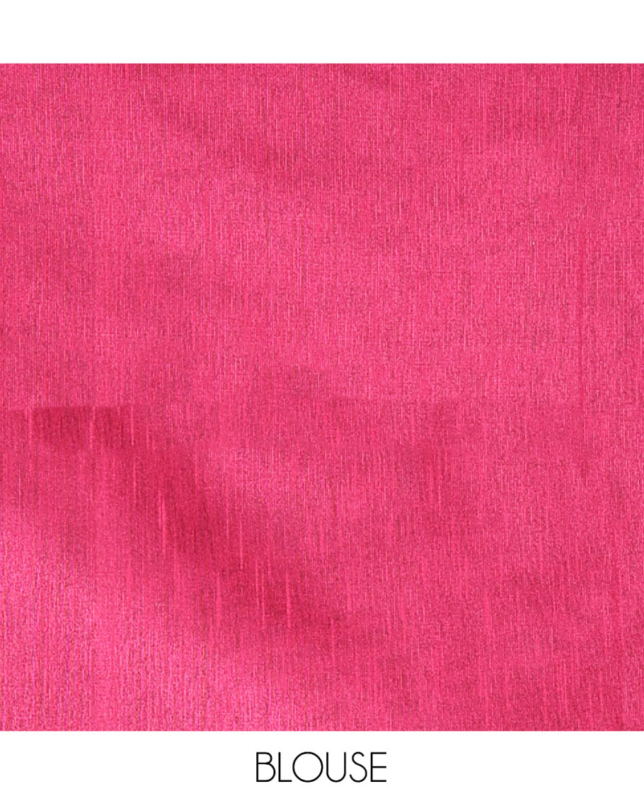 Borderless Grey Semi-Raw Silk Saree, Decorated with Sequined Stripes, a Contrast Zari Striped Pallu, and Contrast Blouse