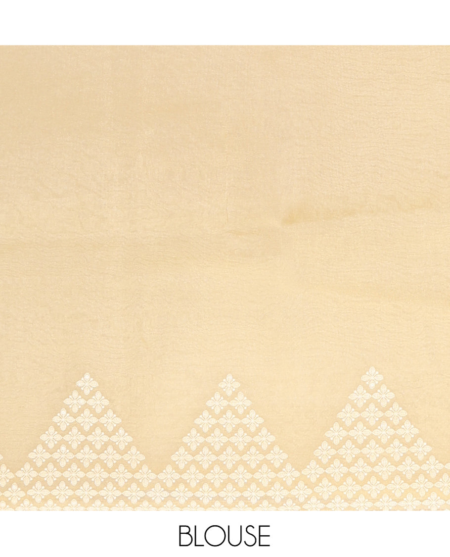 Yellow Plain Organza Saree, a Subtle Scallop-Embroidered Border, and Matching Blouse