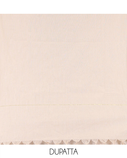 Black-Chikku Cotton Material Chudidar, Adorned with Elephant Print Top, Contrast Plain Bottom, and Contrast Bottom