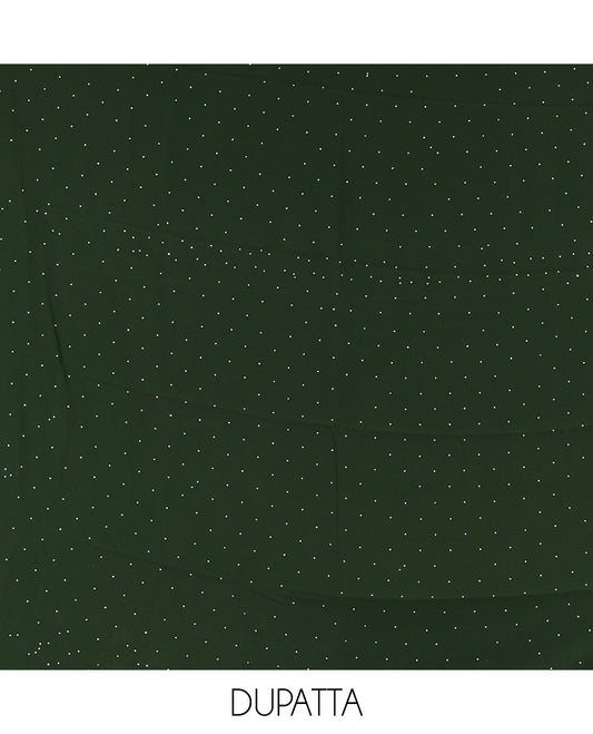 Green Material Chudidar Set, Adorned with Swarovski Stonework and Floral Fox Georgette Top, a Plain Bottom, and Stonework Dupatta
