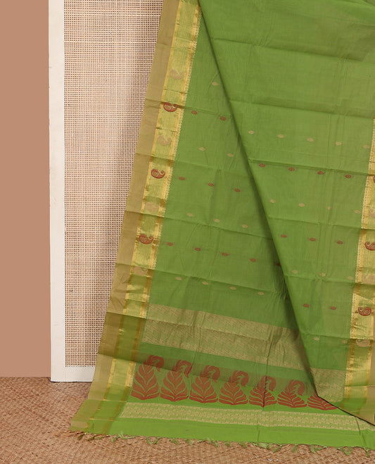 Parrot green buttas kanchi cotton saree, contrast thread and zari paisley border, and pallu of chevron and leaf motifs