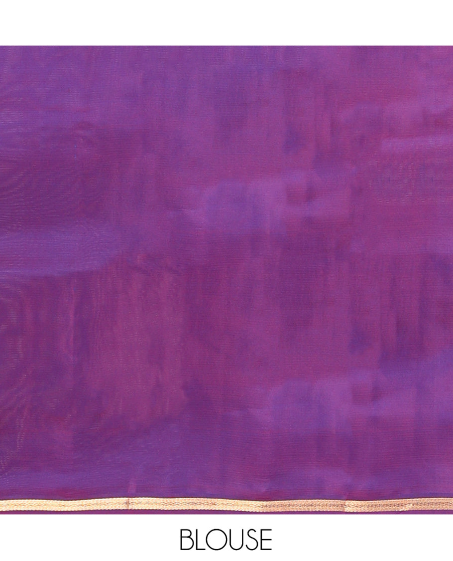 Peacock Blue Vasundhara Lite Silk Mix Saree, Embellished with Zari Design, a Contrast Zari Piping Border, Grand Jaal Pallu, and a Contrast Blouse