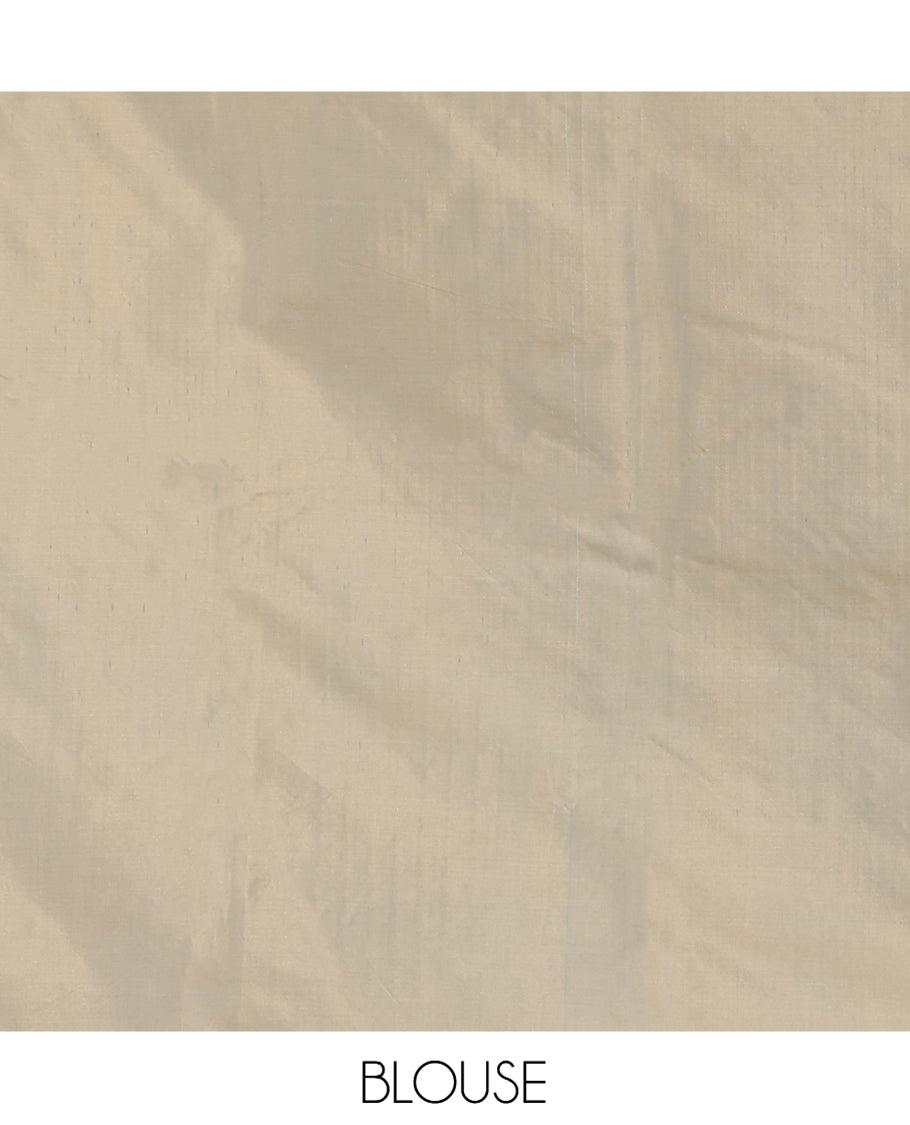 Borderless Pale Grey Arani Saree, Crafted with Zari Stripes, a Self-Pallu, and a Matching Blouse