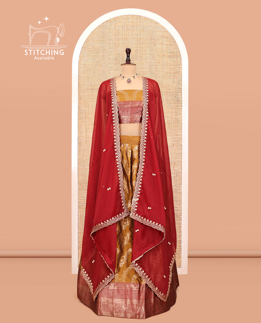 Mustard-Red Banarasi Half-Saree, Accentuated with Jacquard Design, a Contrast Traditional Zari Border, a Matching Blouse, and a Contrast Embroidered Dhavani