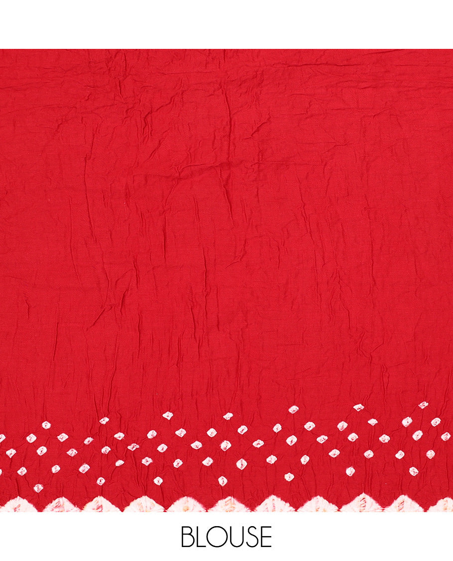 Borderless Red Bandhani Dola Silk Saree