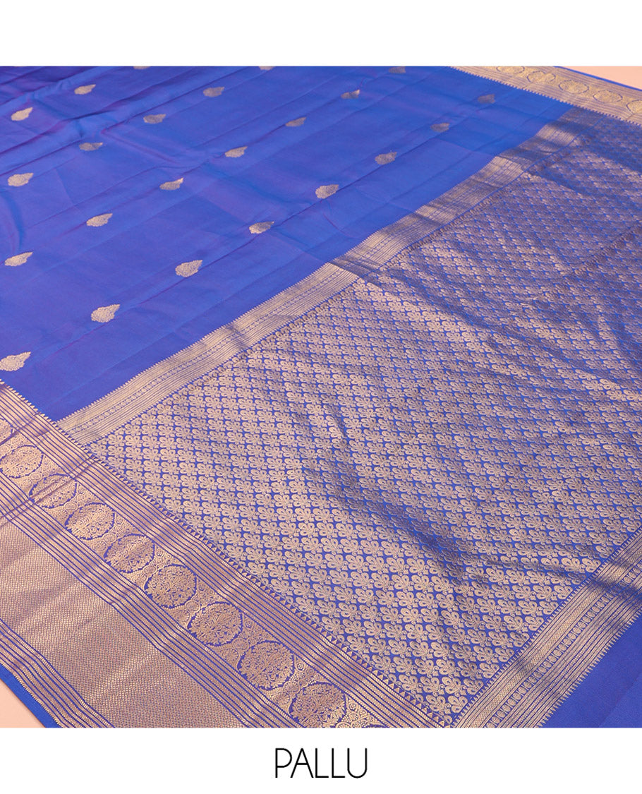 Blue Vasundhara Lite Silk Mix Saree, Finely Crafted with Zari Buttas, a Zari Border of Rekku, Banaras, Neli, Mayil Kann and Kodi Visiry, Grand Pallu, and a Matching Blouse