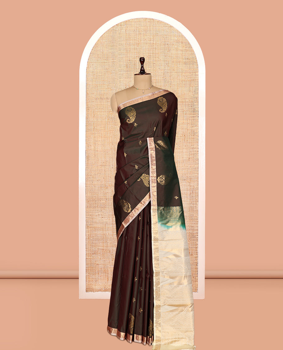 Brown Gift Saree