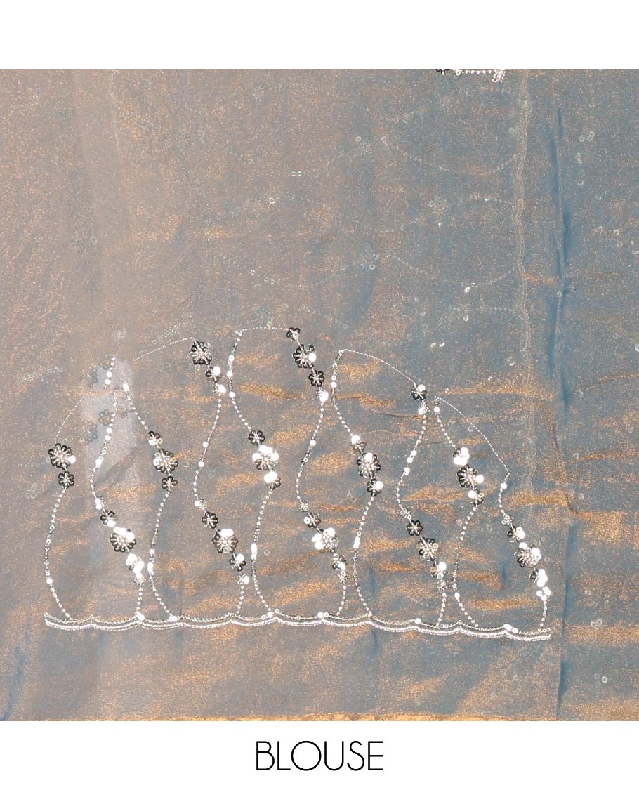 Grey Shimmer Chiffon Saree Elegantly Decorated with Sequins and Thread-Woven Ogee Patterns All Over the Body, Featuring a Scalloped Sequins Work Border, and Paired with a Matching Blouse Embellished with Sequins Work