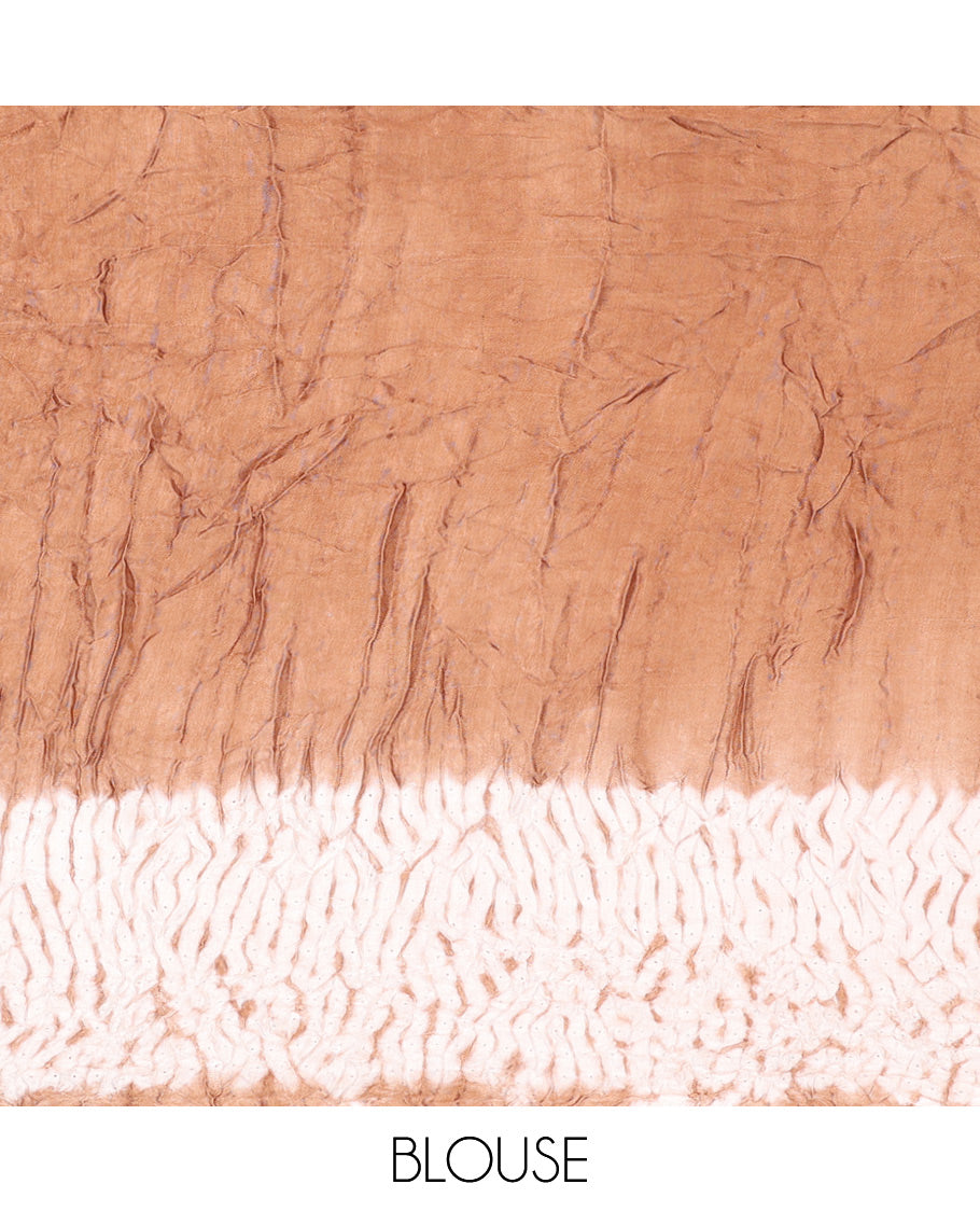 Borderless Brown Bandhani Dola Silk Saree