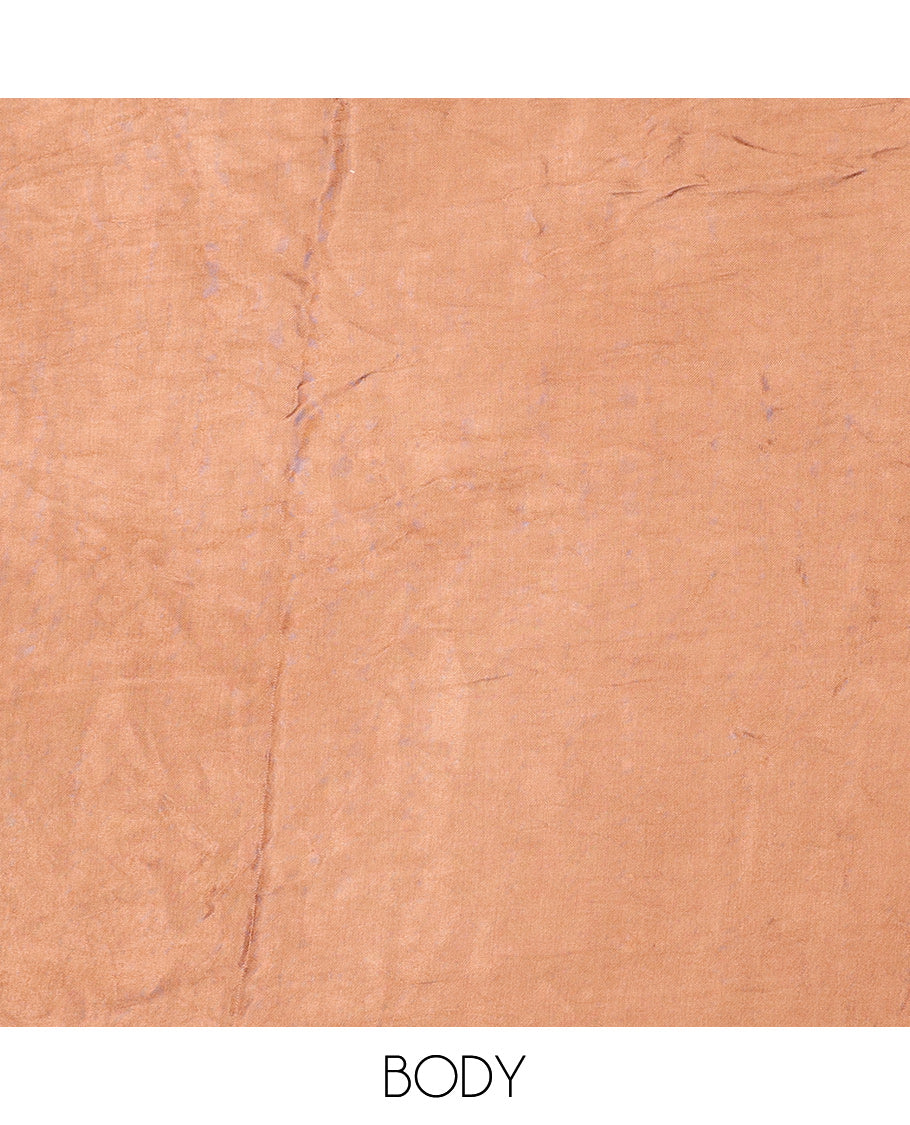 Borderless Brown Bandhani Dola Silk Saree