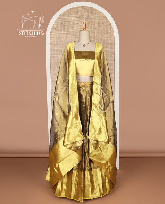 Brown buttas tissue half saree with contrast zari design border, checked zari design blouse & floral design dhavani