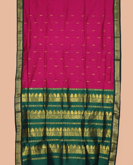 Pink buttas nine-yard cotton saree, contrast traditional zari border, and pallu steeped with traditional motifs