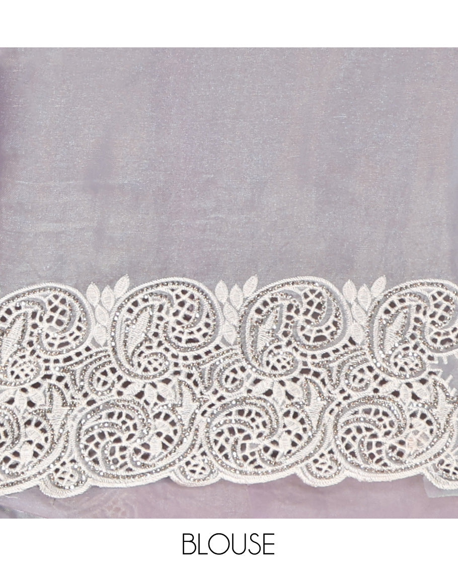Grey Designer Saree, Crafted with Stone Work All Over Its Body, a Scallop Cut-Embroidered Border, and Matching Blouse