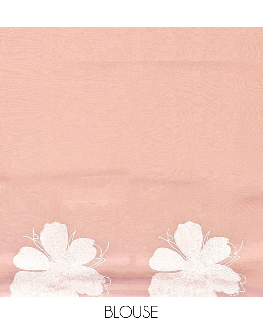 Pale Brown Plain Organza Saree, a Scalloped Floral Thread Embroidery Border, and a Matching Embroidered Blouse