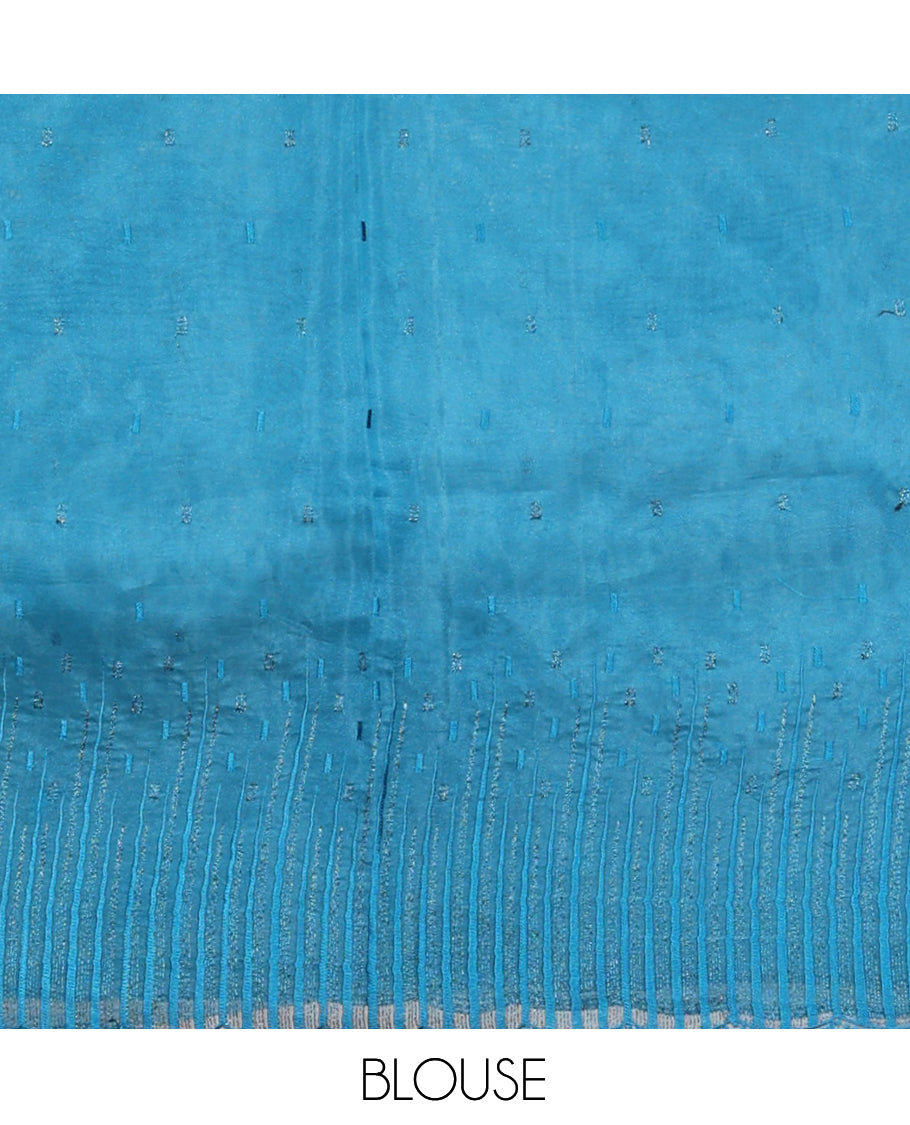 Blue Organza Saree, Steeped in the Prettiness of Floral Thread Embroidery, a Scalloped Embroidery Border, and a Matching Embroidered Blouse