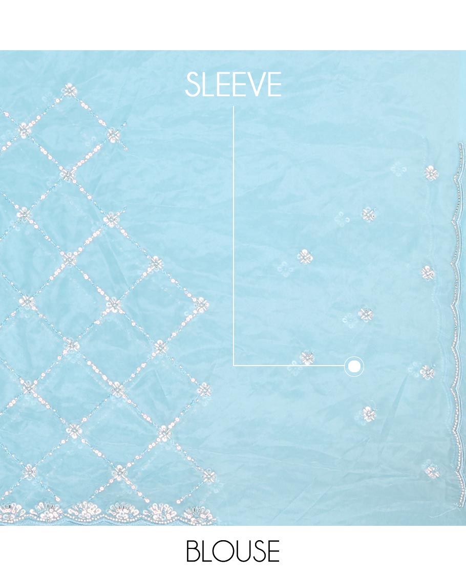 Blue jaal design kardana & sequins embroidered designer saree, scallop kardana & sequins embroidered border