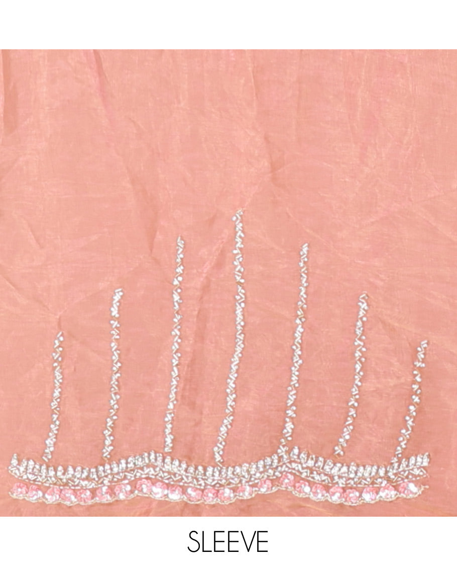 Pastel Pink Stone-Kardana Work Organza Designer Saree with a Scallop Embroidery Border, Matching Blouse
