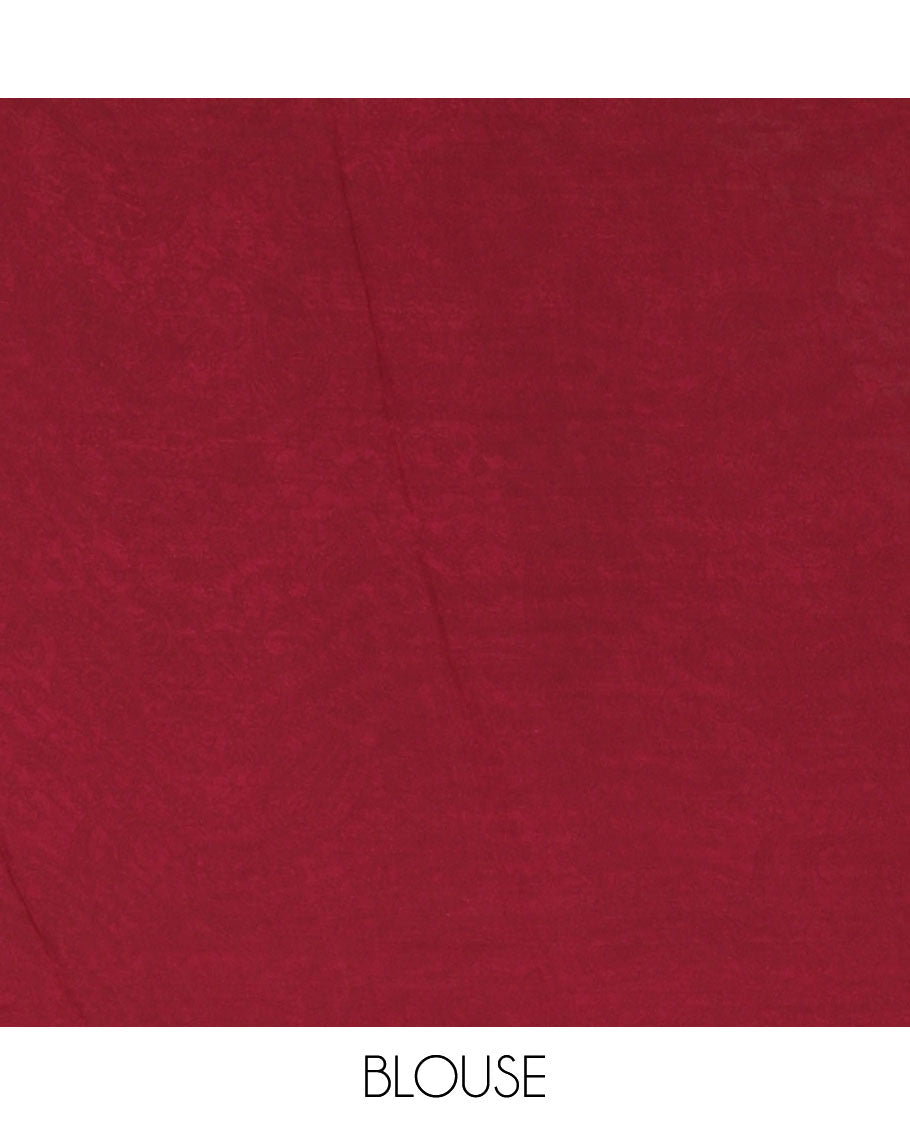 Chikku intricate paisley printed kimaya saree, floral printed border, paisley printed pallu & contrast printed blouse