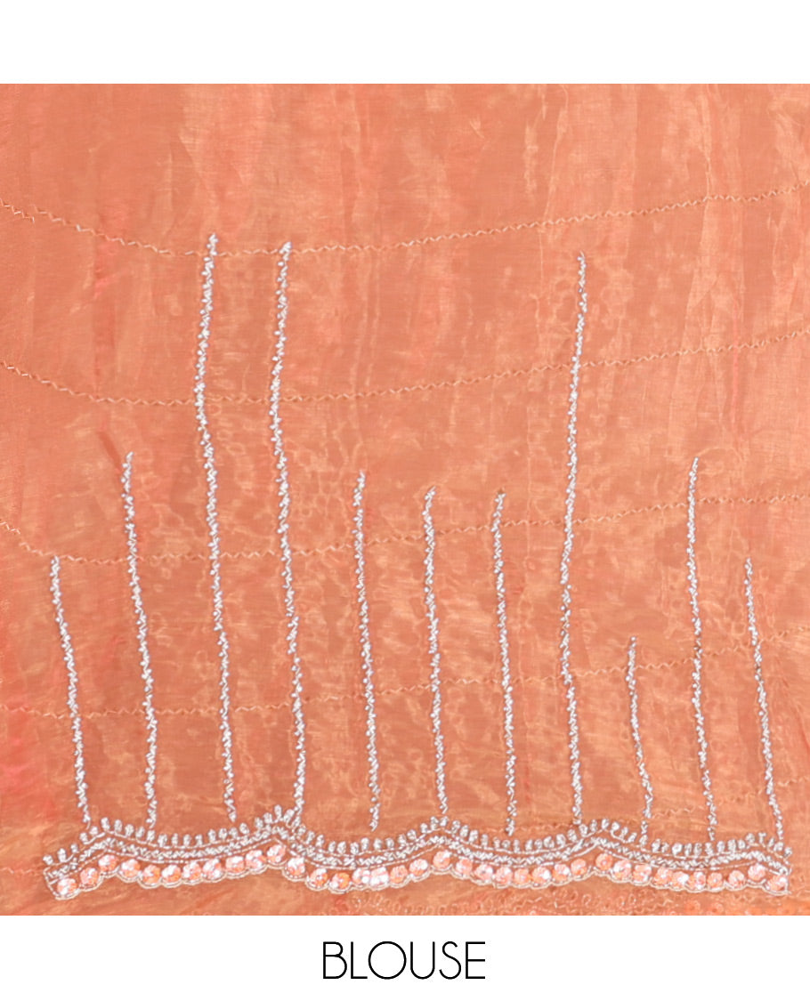 Dusky Peach Stone-Kardana Work Organza Designer Saree with a Scallop Embroidery Border, Matching Blouse
