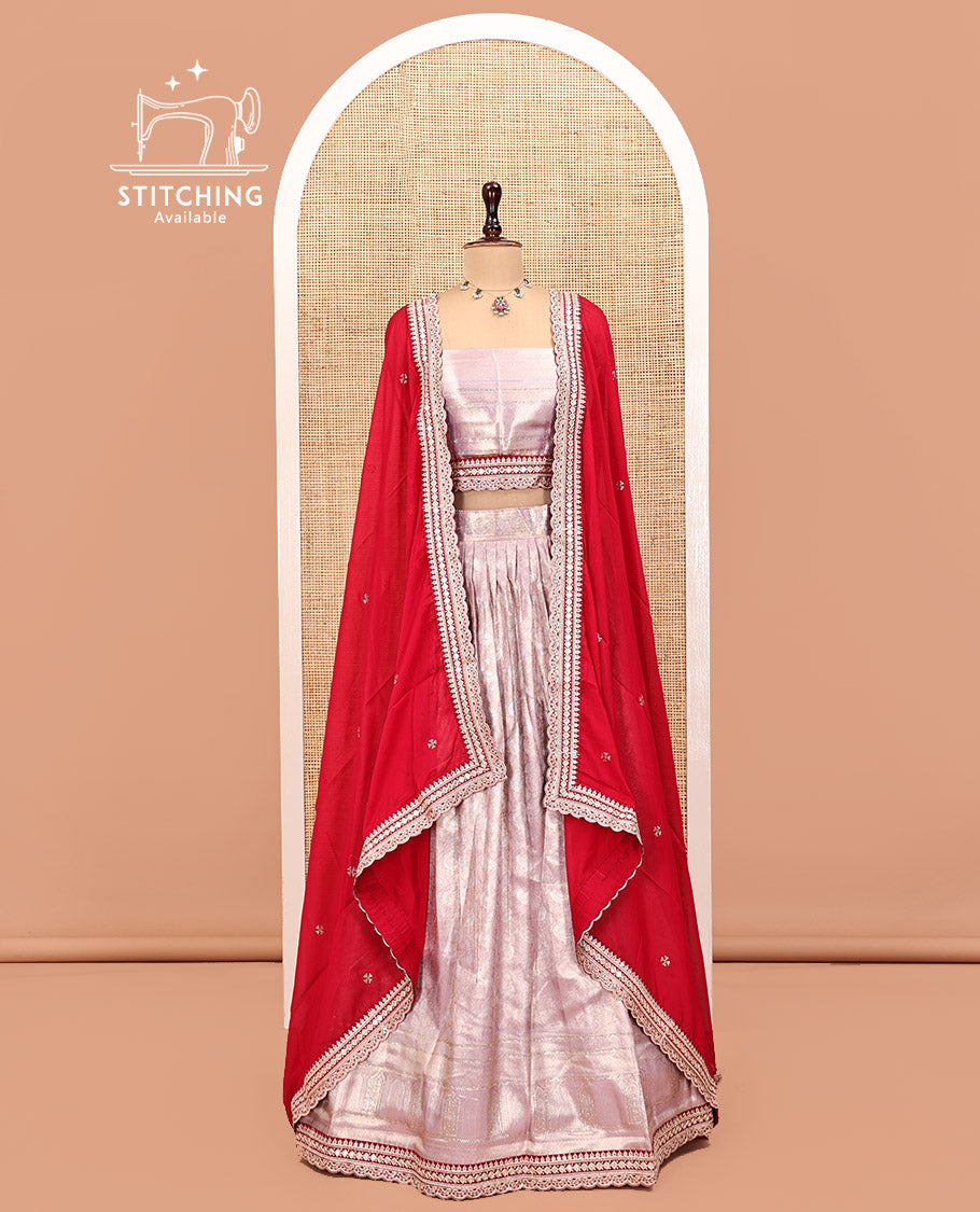 Grey Art Silk Half Saree, Gleamed Up with Jacquard Design Skirt, Contrast Embroidered Border, Jacquard Blouse, and a Contrast Embroidered Dhavani